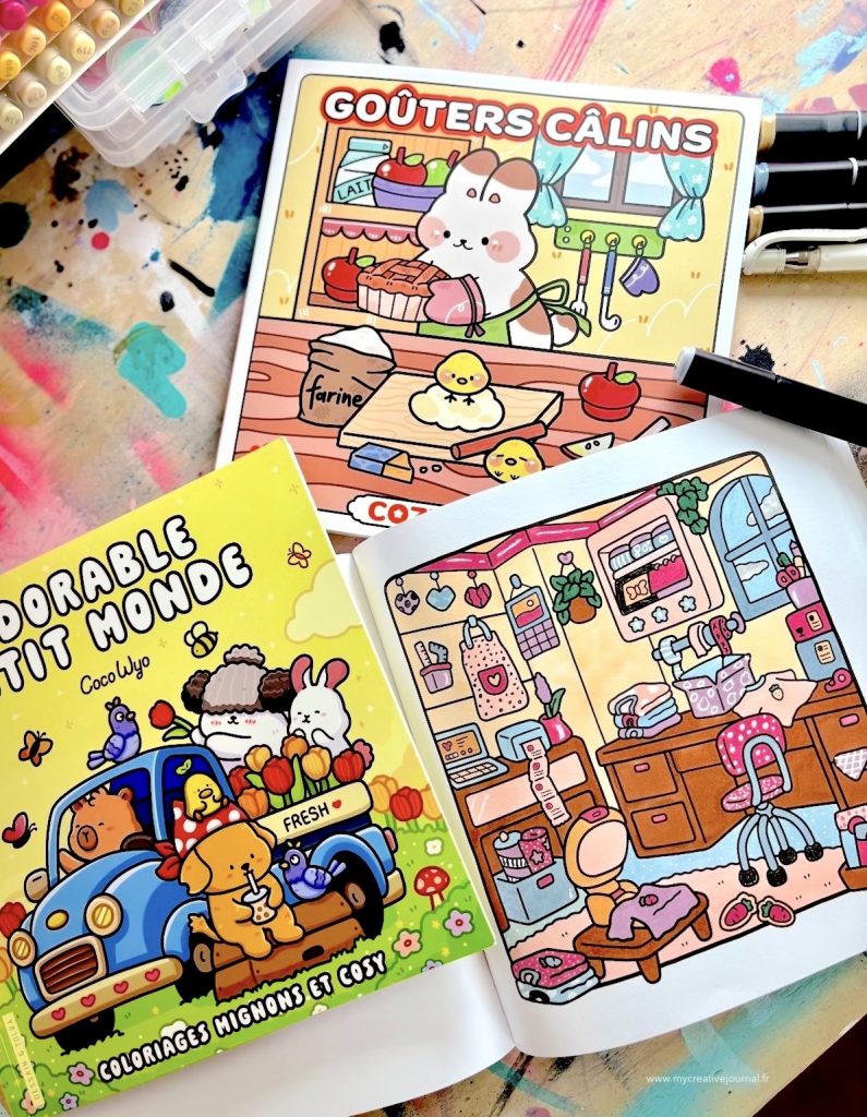 livres coloriage adulte cosy